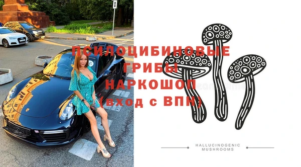 сатива Алексин