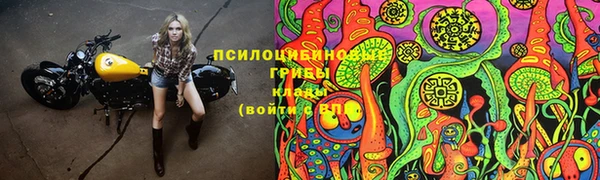 синтетический гашиш Алексеевка